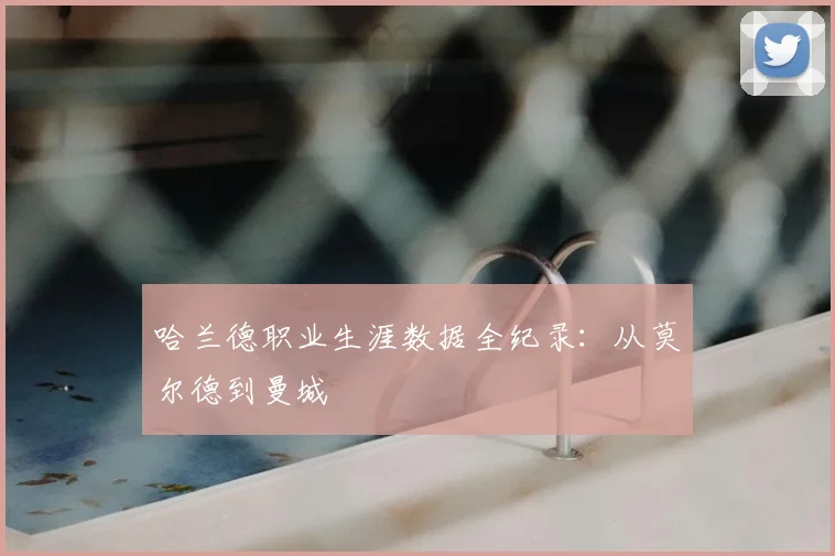 哈兰德职业生涯数据全纪录：从莫尔德到曼城
