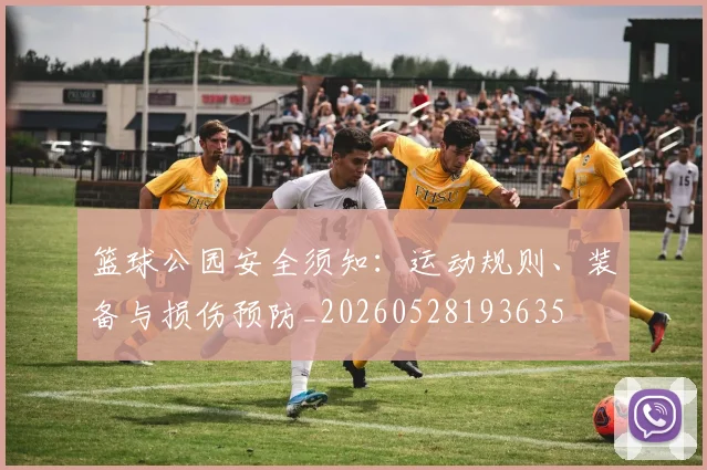 篮球公园安全须知：运动规则、装备与损伤预防_20260528193635